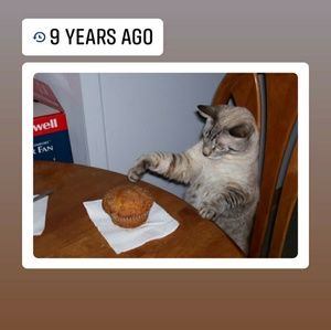 Meet your Posher, Mabel